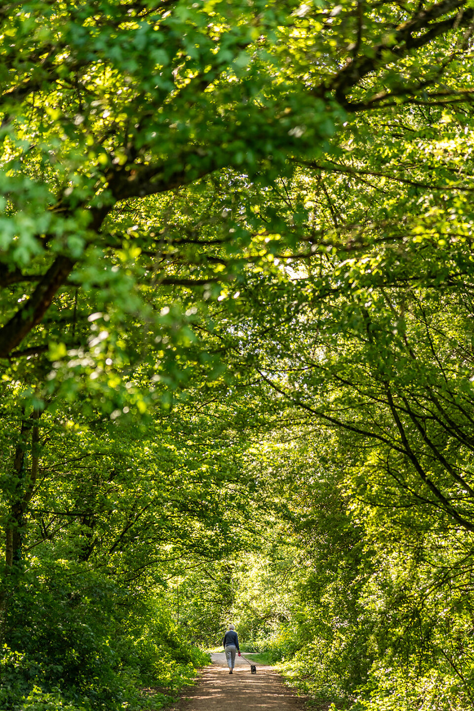 Sfeerfotografie RIdderkerk 4271 websize